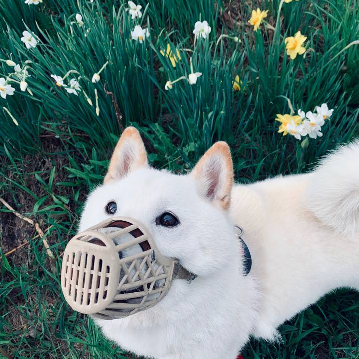 E9325a1d ade1 4eac 9cfb 941aa881b6d6 1589147861537