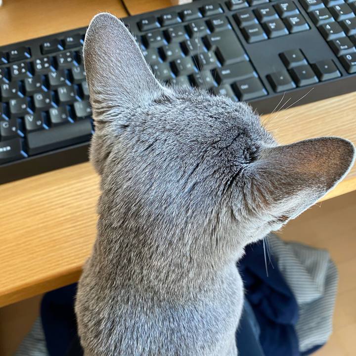 E932a32e bae3 4bf1 85bf 29c8d00b3e52 1614219260543