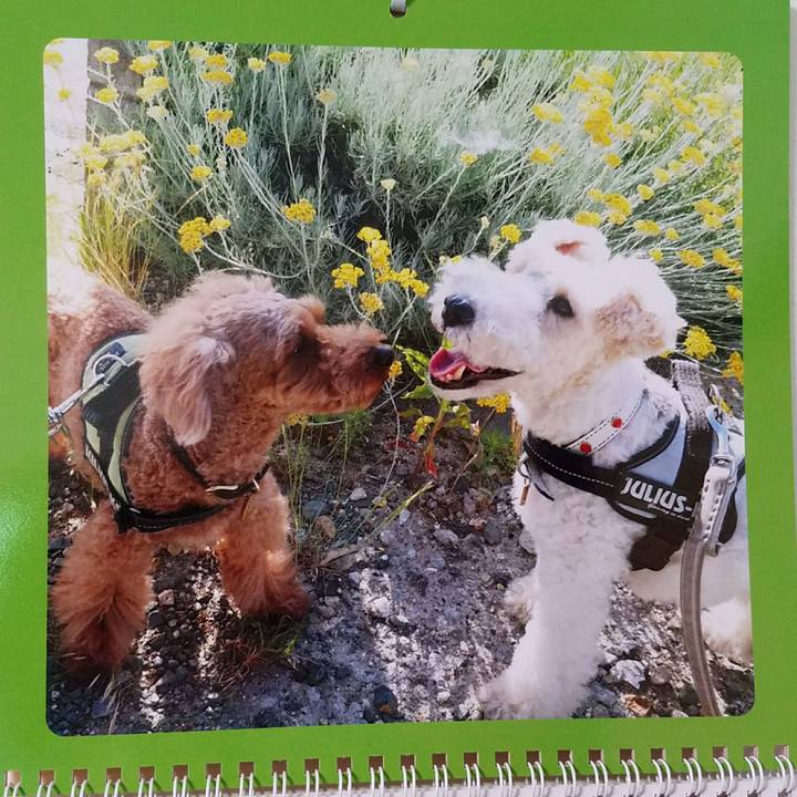 E932cce3 fd8b 4701 91ac b82f5344e47c 1527851467982