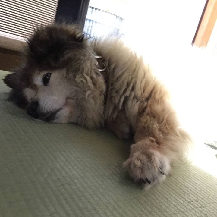 E932eec8 1c14 4673 a93d 4ccb873d34a6 1643641565293