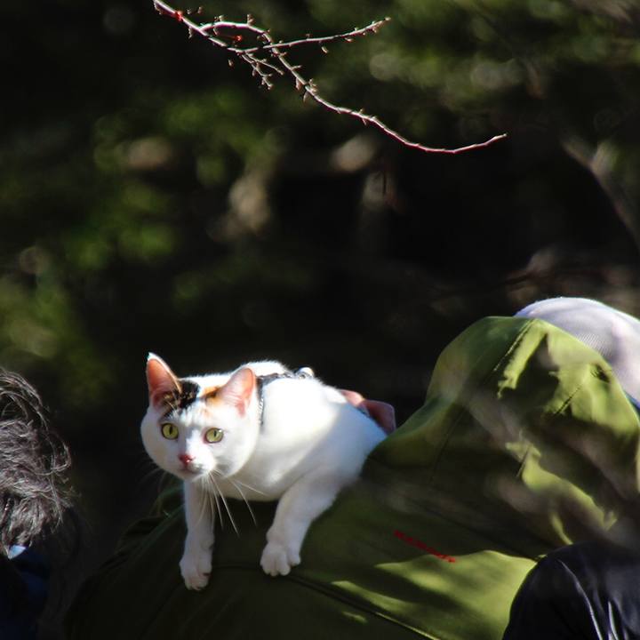 E9331d8a f45d 4636 b1d7 4437624de64c 1616039143452