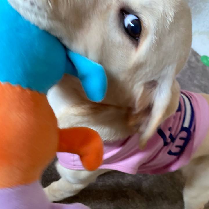 E93329a9 3b90 4206 bc35 f48a23c5cf24 1616399857294