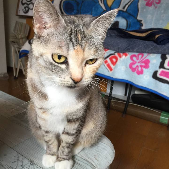 E933774f 071b 4314 8e22 90e57e80da0b 1574129327722