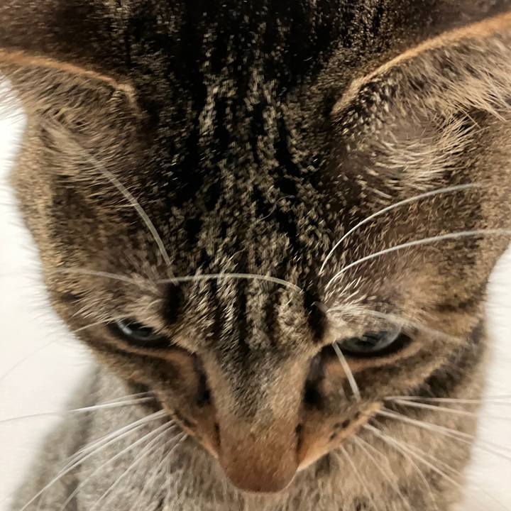 E933845c 320a 4a31 ab33 a92ae59d999a 1762125399230