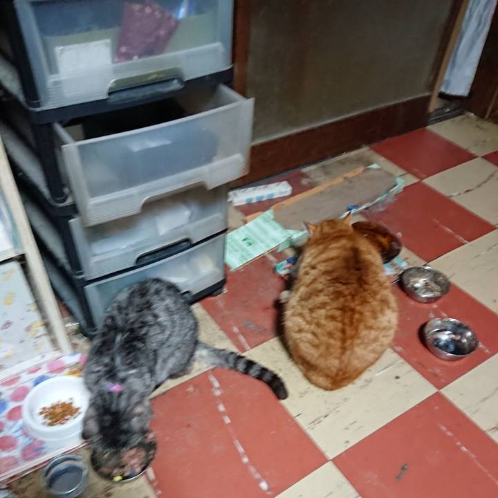 E933869f 8c16 419a 966c 7cbe9f15444f 1579377759209