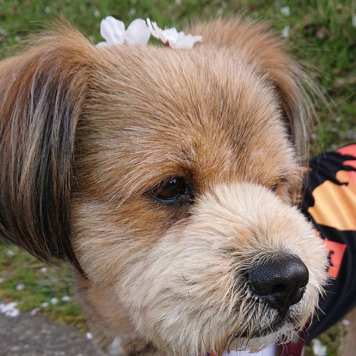 E9338924 dafd 42c1 8e9f 08e69750f289 1554384623748