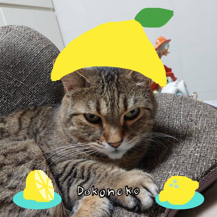 E933c06c d77f 4ae1 a602 d4ab2ae64fc8 1741128972597