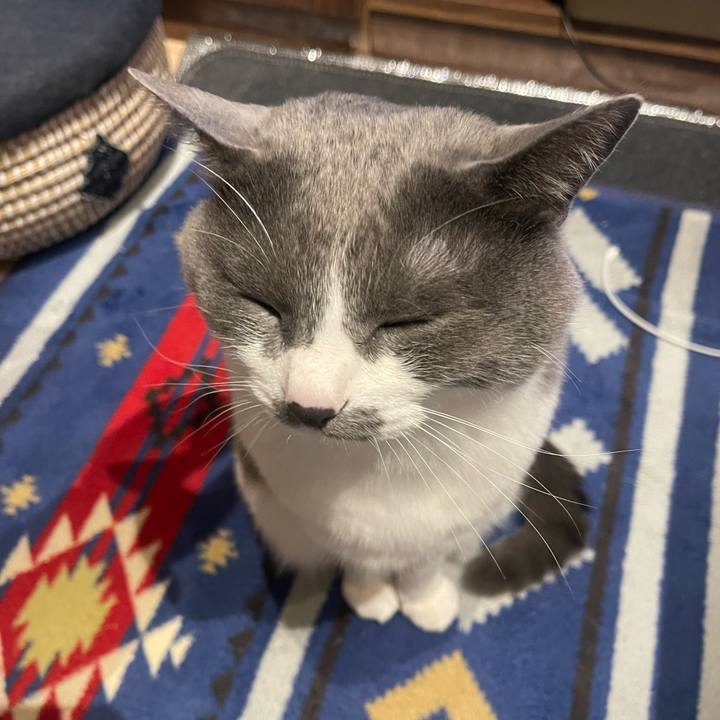 E933c723 9f57 4efb 8595 38b13499657d 1679934094270