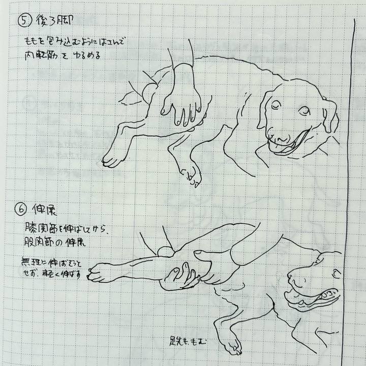 E933ca45 a5b8 4398 b5c1 3f8bdab22c59 1774144092674