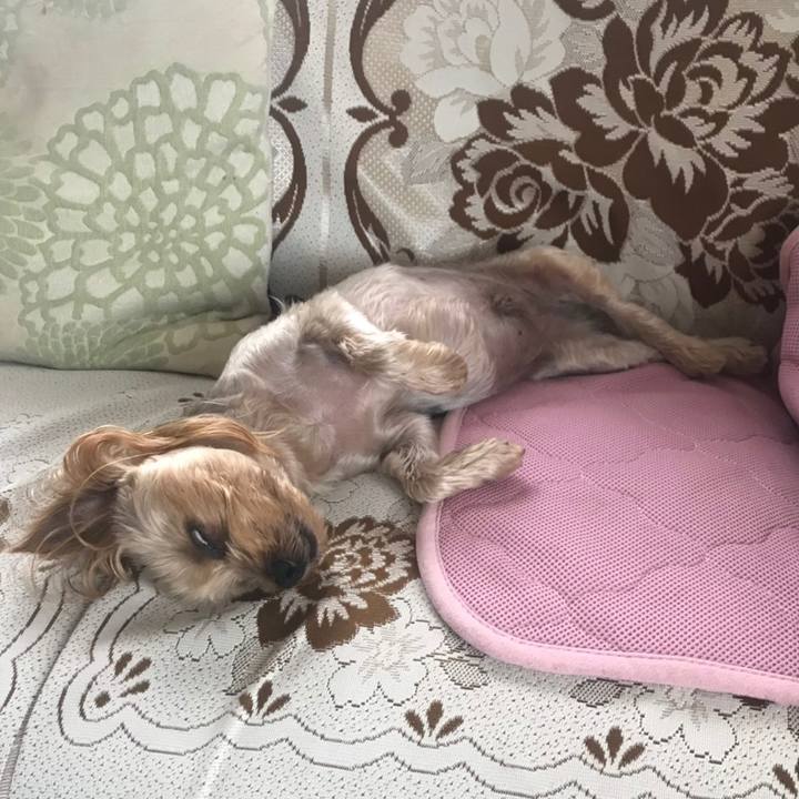 E933dcf5 74a9 4c83 8d16 65500083cefb 1564563625822