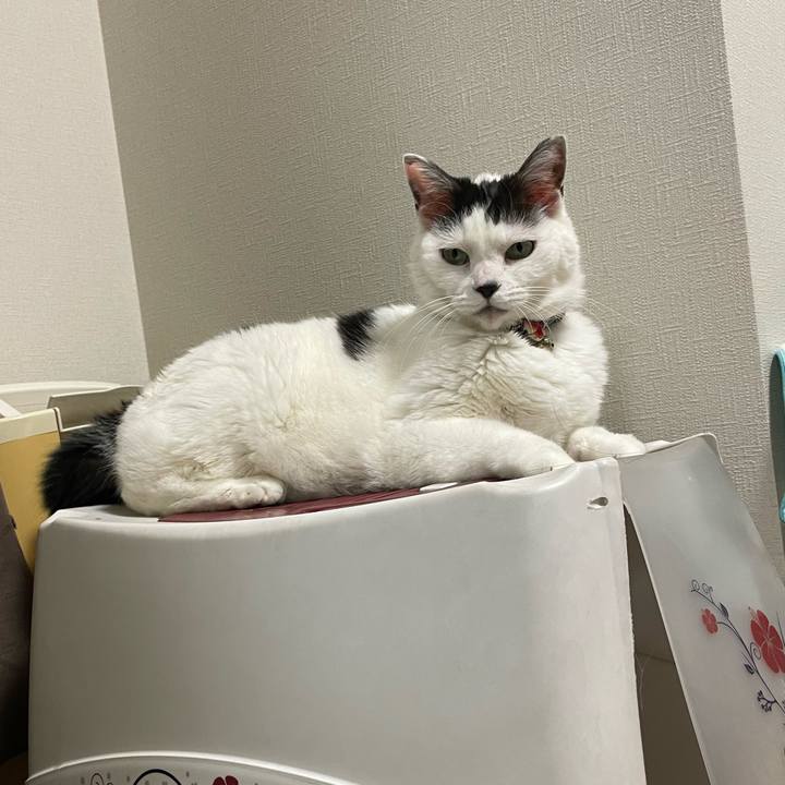 E933e398 b5a9 4fae 8885 67e05bdb3205 1716038519078