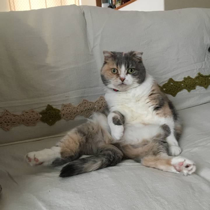 E933e8dd 837e 4212 9f1c 1afd9626dcef 1587513289518