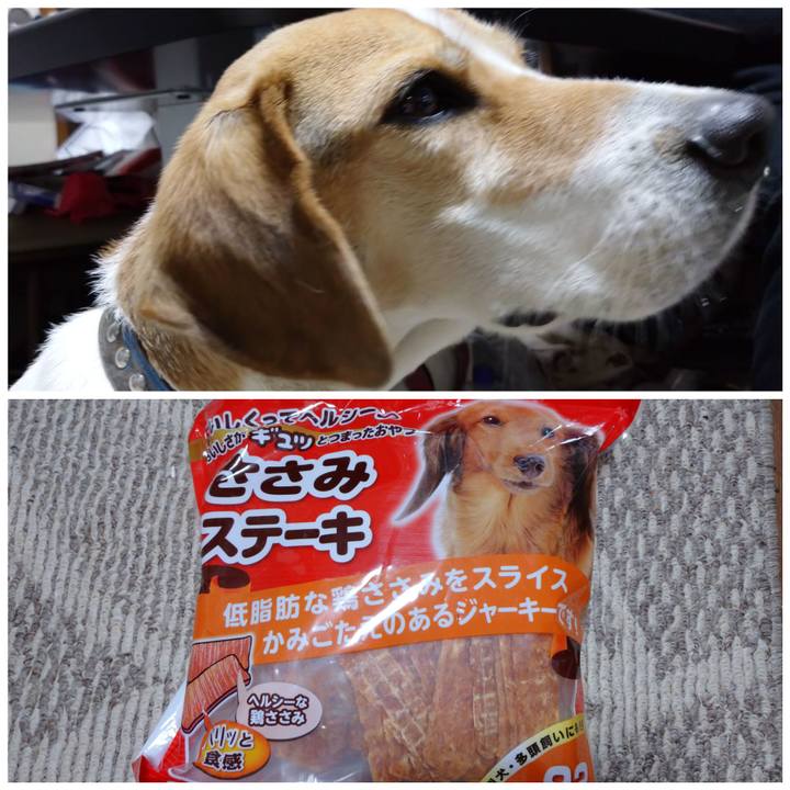 E933f8cd 3bd7 4586 b79c 1597bf8e69b4 1608800370957