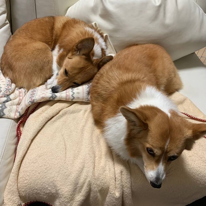 E9341936 e95c 4a5b a6d9 599881368971 1582612904625