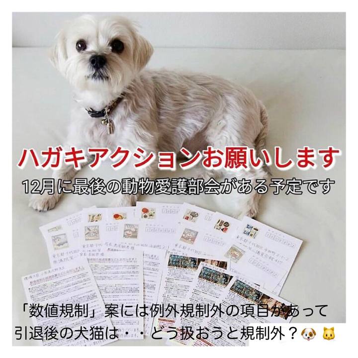 E934a6bf 3ada 4b0b adc4 4195da770253 1606190421926