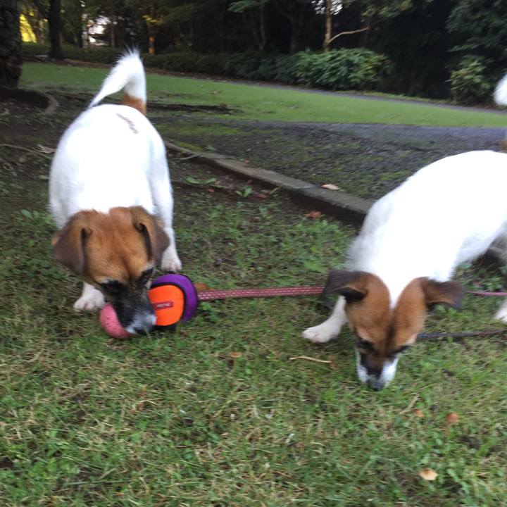 E934cd54 3d95 4839 804c 92ff2d129411 1508283732369