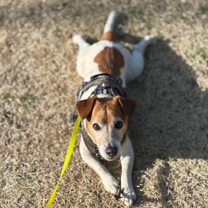 E934dfd1 4dea 444c afb2 e292e24c00ae 1775608422466