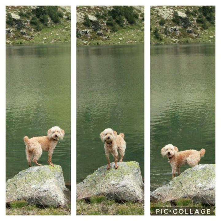 E934e2ea 4472 495f 86f3 896e1734e811 1593527979362