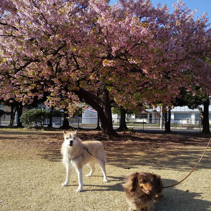 E9352a28 bb67 44b9 8721 b7a3d7f7f182 1678837844534