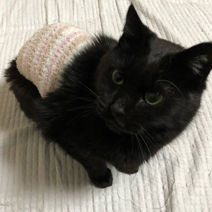 E935301d 943a 43ce a4e5 1bbd8c4a7bac 1639302953630