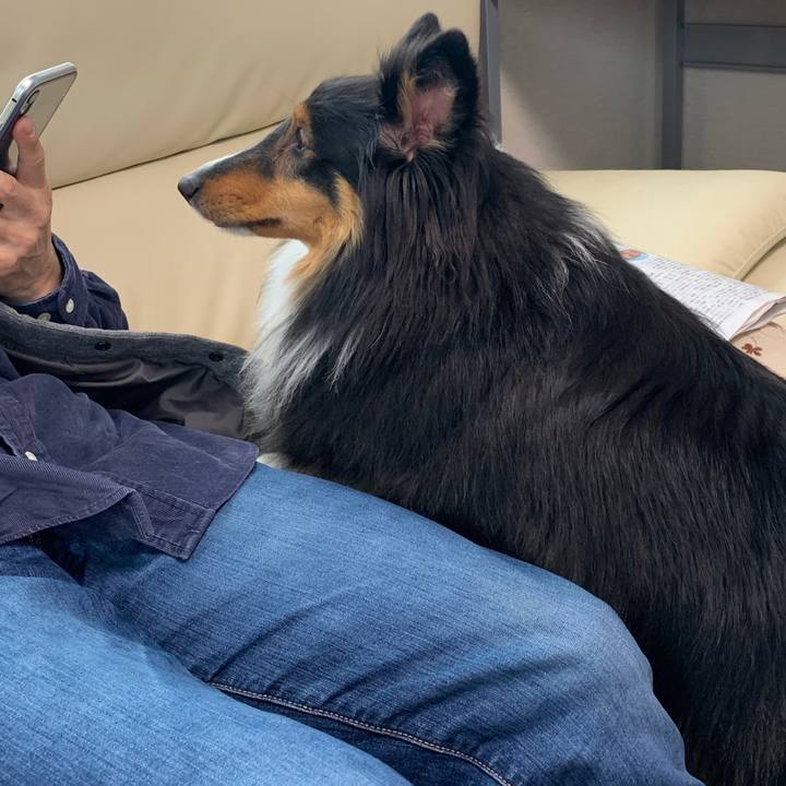 E9353384 0ed2 4534 ad49 cfd71dbd58f1 1588113615204