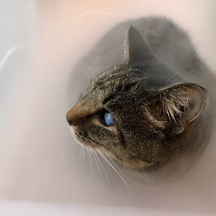 E9355dea 374c 42bb a840 18d90a65c6a4 1612402411758