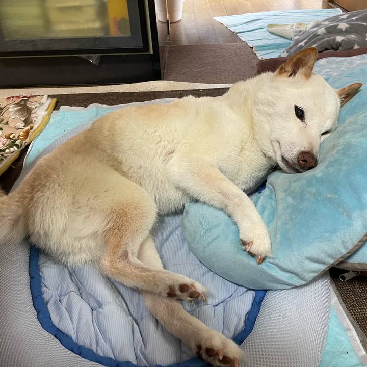 E93563b2 ed2d 48ab 90d6 de6102cef75f 1657077753148