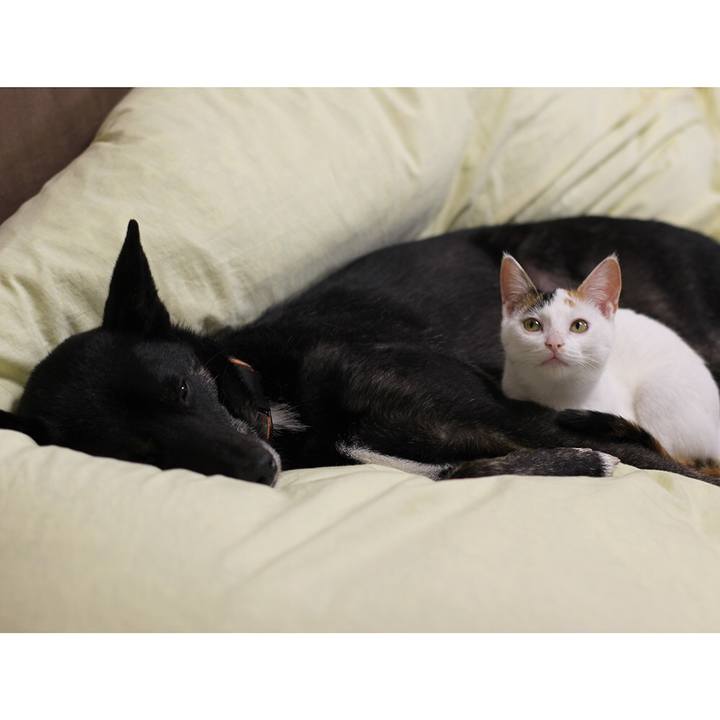 E93564e5 b564 47d0 9b75 627aa342d1ad 1550229674203