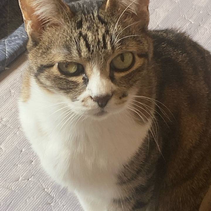 E9359f7d 7b68 47bf b0b2 d43cac7163d8 1649688932888