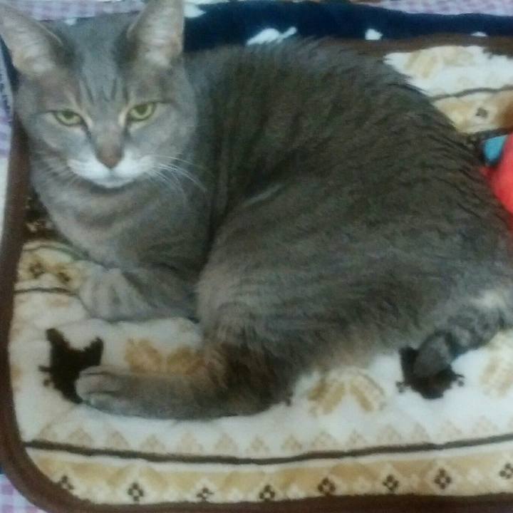 E935c1c3 c6b1 4ff1 9d7e 90ca308be4de 1581893429549