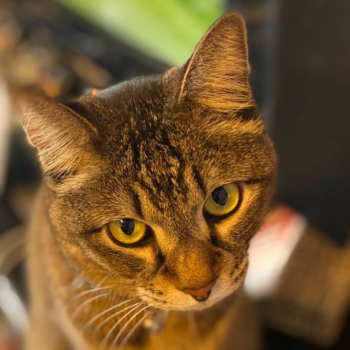 E935cb83 c9eb 4fd1 9747 e7dbcc354812 1578909781124