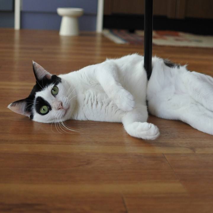 E9360274 b917 4048 889f 2729c493a00d 1532606232578