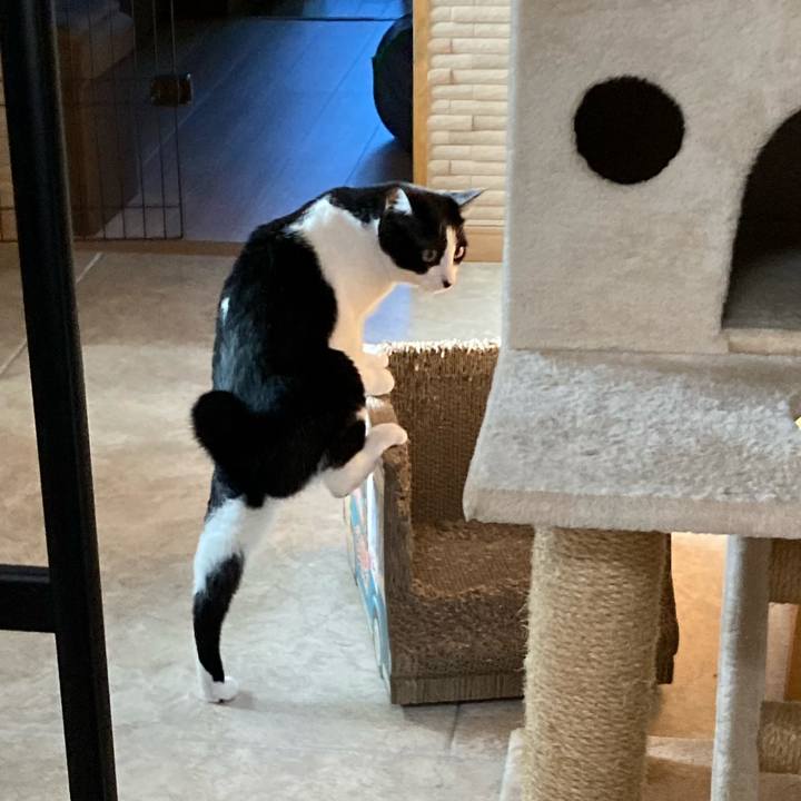 E93619f4 c4e3 4fd5 a315 20c42b65c6ac 1690703753072