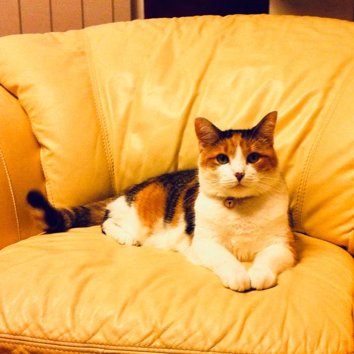 E9362709 531e 4f7a 8f2e ceecfe20a1d6 1763129852699