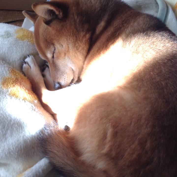 E9368d55 a663 4931 9b04 05673b3cf817 1545201555062