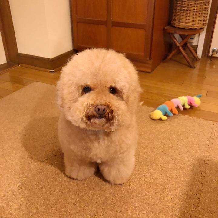 E936bc8f 4aa9 4ed7 9013 88006a27d26e 1509268186029