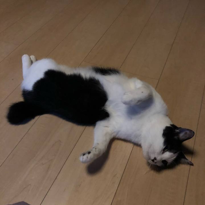 E936e848 143b 4850 8792 6f1ff6b304b0 1592421813938