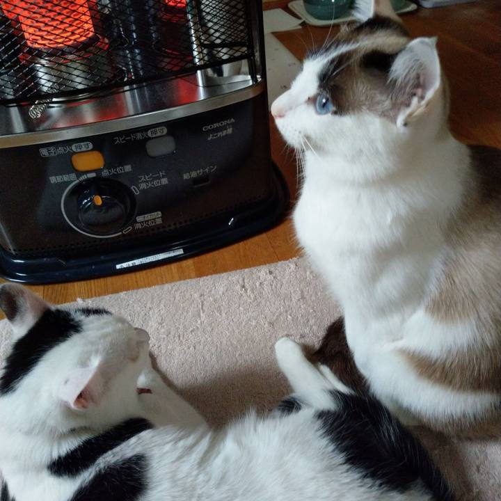 E9370ae1 3351 47e6 b823 9265700ffd41 1609977108089