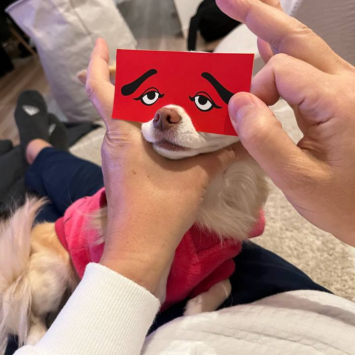 E9376e6b 2f75 463d 96c4 0bb0e912ddd8 1735372684130