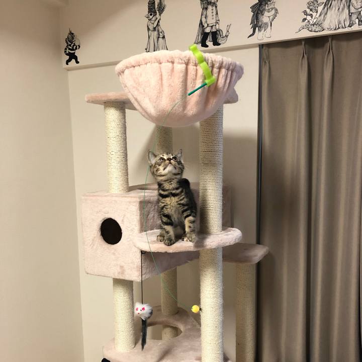 E93784b1 4e42 4104 addf e7c4ecec89eb 1577950810434