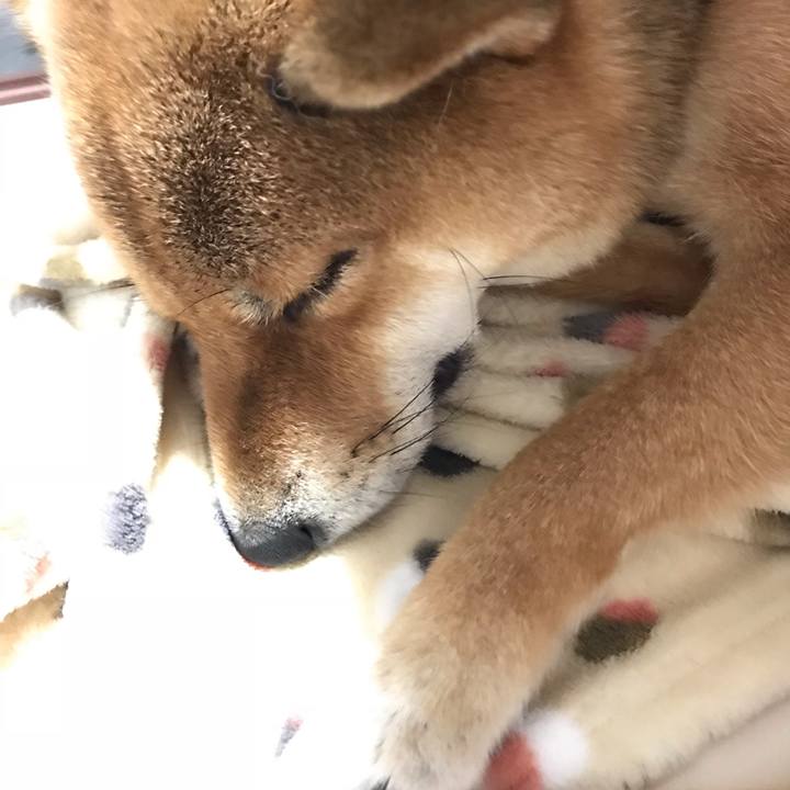 E93790e9 194a 458b affa 156ce8d507b6 1539349699841