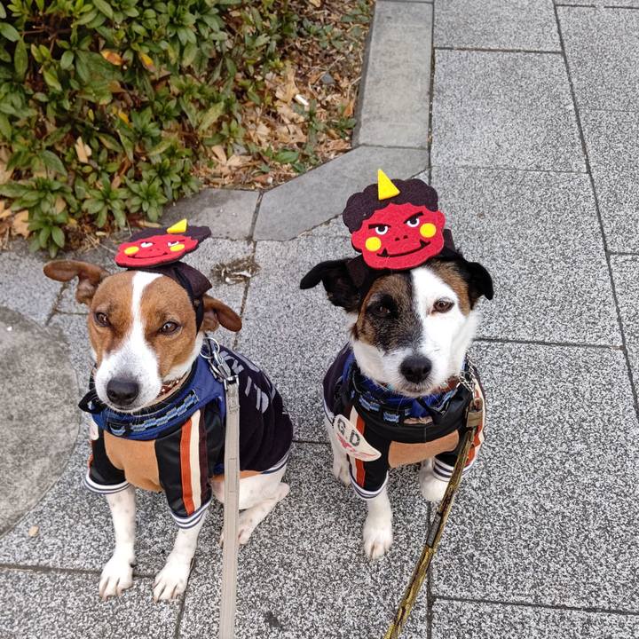 E937e722 8c00 464a 85b8 e11ae6df0e60 1643843556671