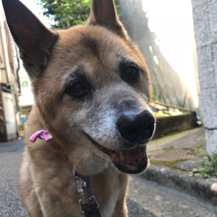 E9380a5d 9703 40cb b557 16bda49bb34d 1527805540320