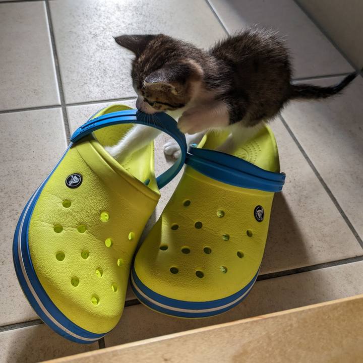 E9380f72 de41 4172 9104 7df82fbd6250 1717926949246