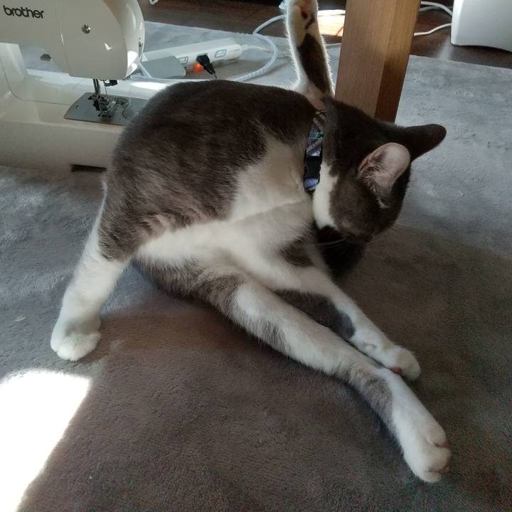 E93881ab a7d9 4321 9c71 b42005b6e18d 1597272631300