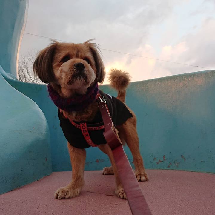 E938a332 0d00 4b06 bc95 144a5d11dfc9 1546763627934