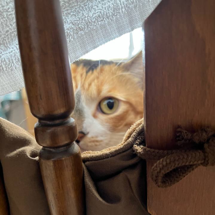 E938a67d f016 4cda bb0e 4acafdd4cded 1761353974915