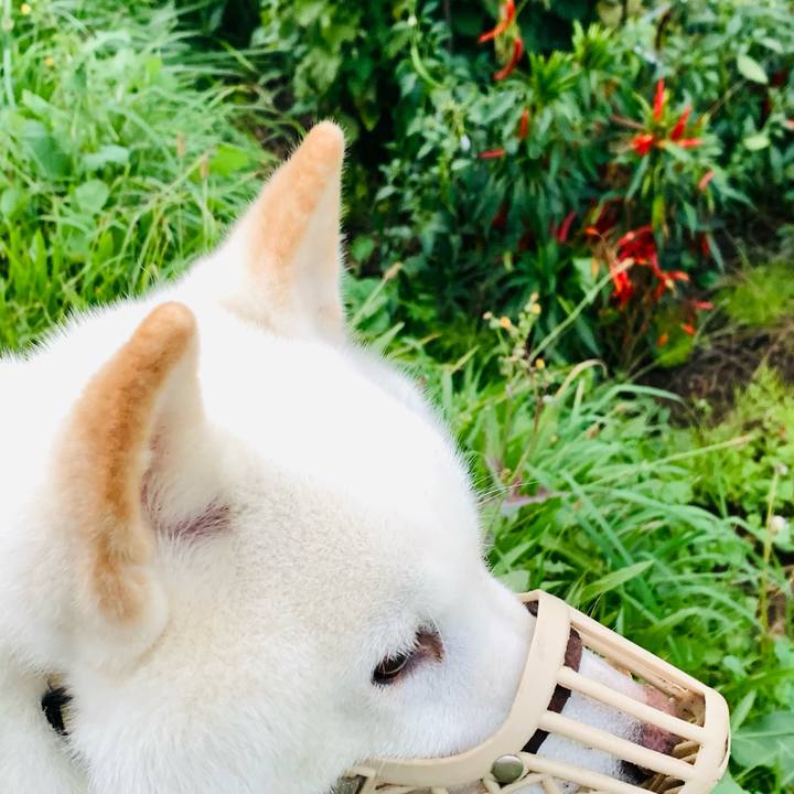 E938a6d3 3a2d 4b3e ad2c 78fc457db829 1663718439762