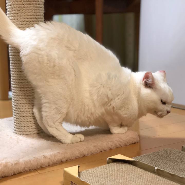 E938b37d de37 4391 9d30 b836201b8657 1534946969763