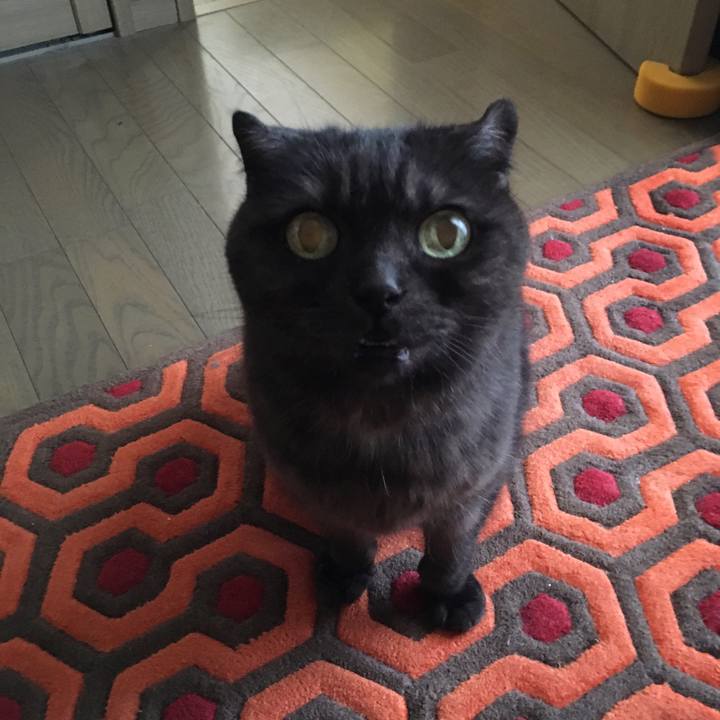 E938cb47 535e 41cb 98ab 5cb25e9229ab 1557877298915